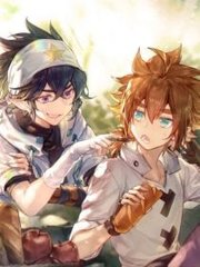 大象影视传媒精品